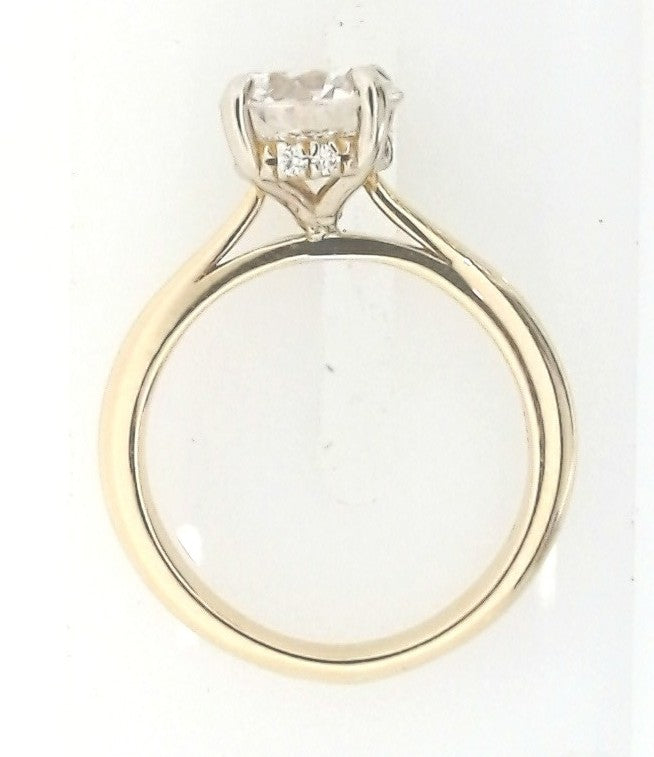 Round 1.85 Diamond F VS2 14K Yellow Gold Cathedral Peg Shank 2002789;14KW;7mm ROUND;.05 CTW;P;LAB-GROWN DIAMOND SEMI-SET 4-CLAW PRONG HIDDEN HALO-STYLE LOW PEG SETTING
Round