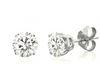 White 14 Karat Stud Earrings W