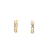 Moissanite Earring