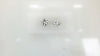 LAB Diamond Earring